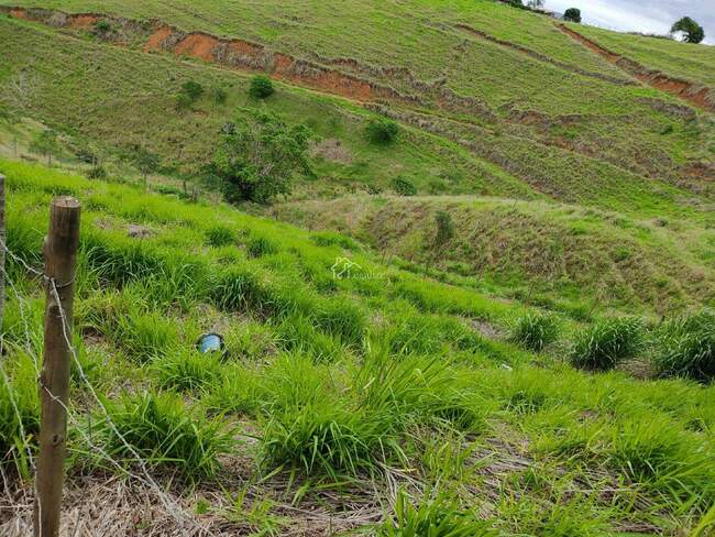 Imagem do imóvel - Lote à venda, Vale do Sereno - Ponte Nova/MG