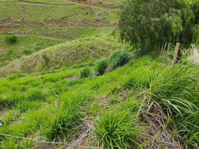 Imagem do imóvel - Lote à venda no Vale do Sereno: 