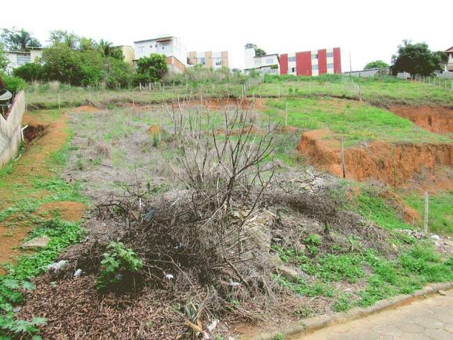 Imagem do imóvel - Lote à venda no Paraíso: 