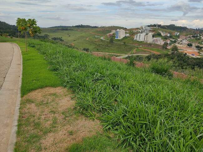 Imagem do imóvel - Lote à venda, Estrela da Mata - Ponte Nova/MG