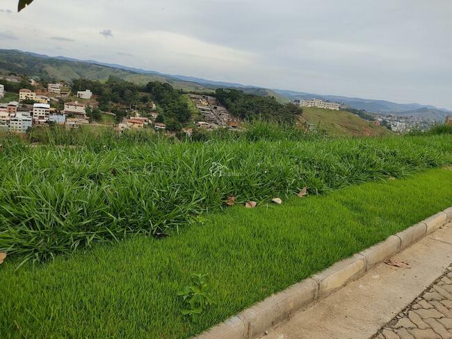 Imagem do imóvel - Lote à venda no Estrela da Mata : 