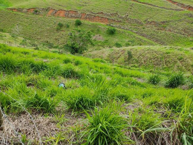 Imagem do imóvel - Lote à venda no Vale do Sereno: 