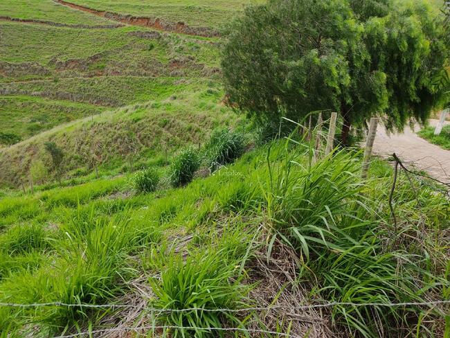 Imagem do imóvel - Lote à venda no Vale do Sereno: 