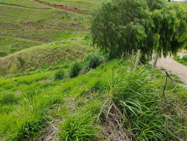 Imagem do imóvel - Lote à venda no Vale do Sereno: 